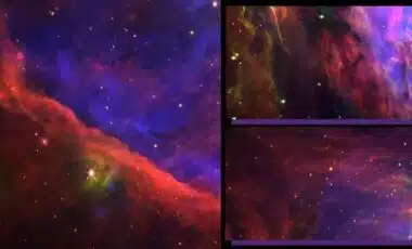 James Webb Space Telescope Captures Stunning Images of Orion Nebula