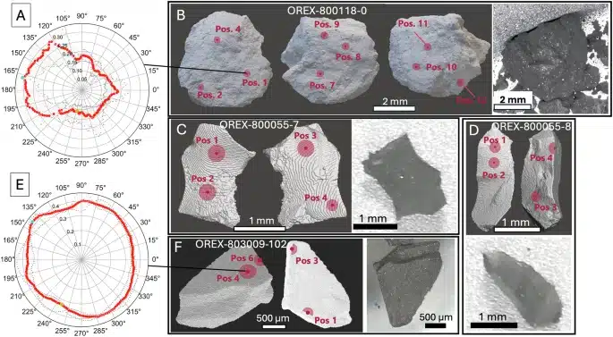 41467 2026 68505 Fig1 Html