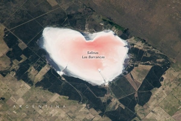 A Heart Shaped Salinas Las Barrancas Glows Pink In Argentina’s Lowlands, Captured From Space.