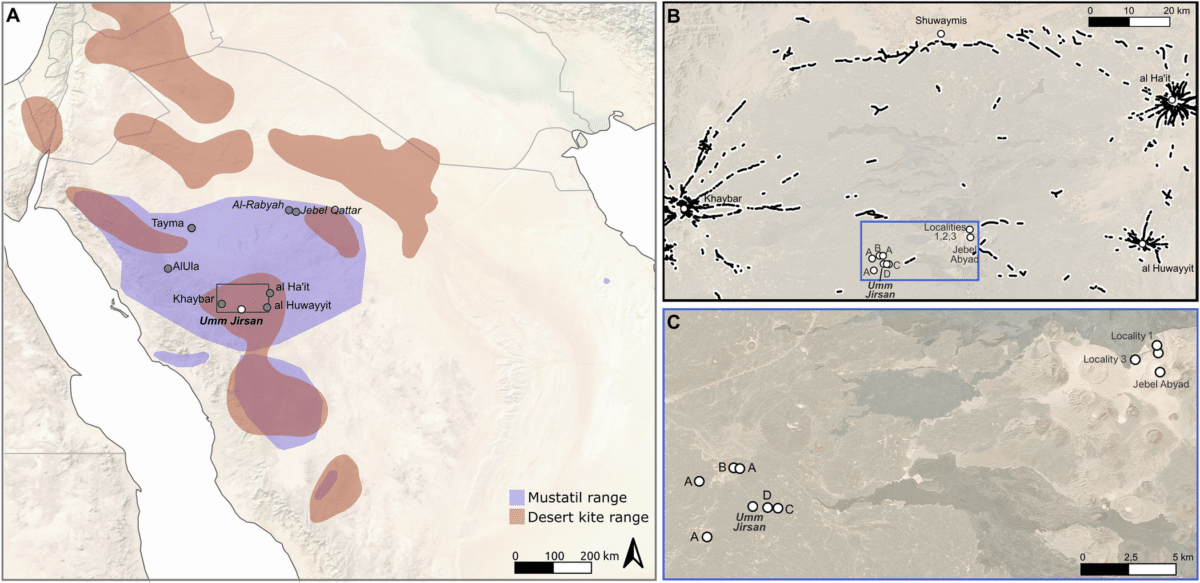 Regional And Local Mapping Of Umm Jirsan In Saudi Arabia.